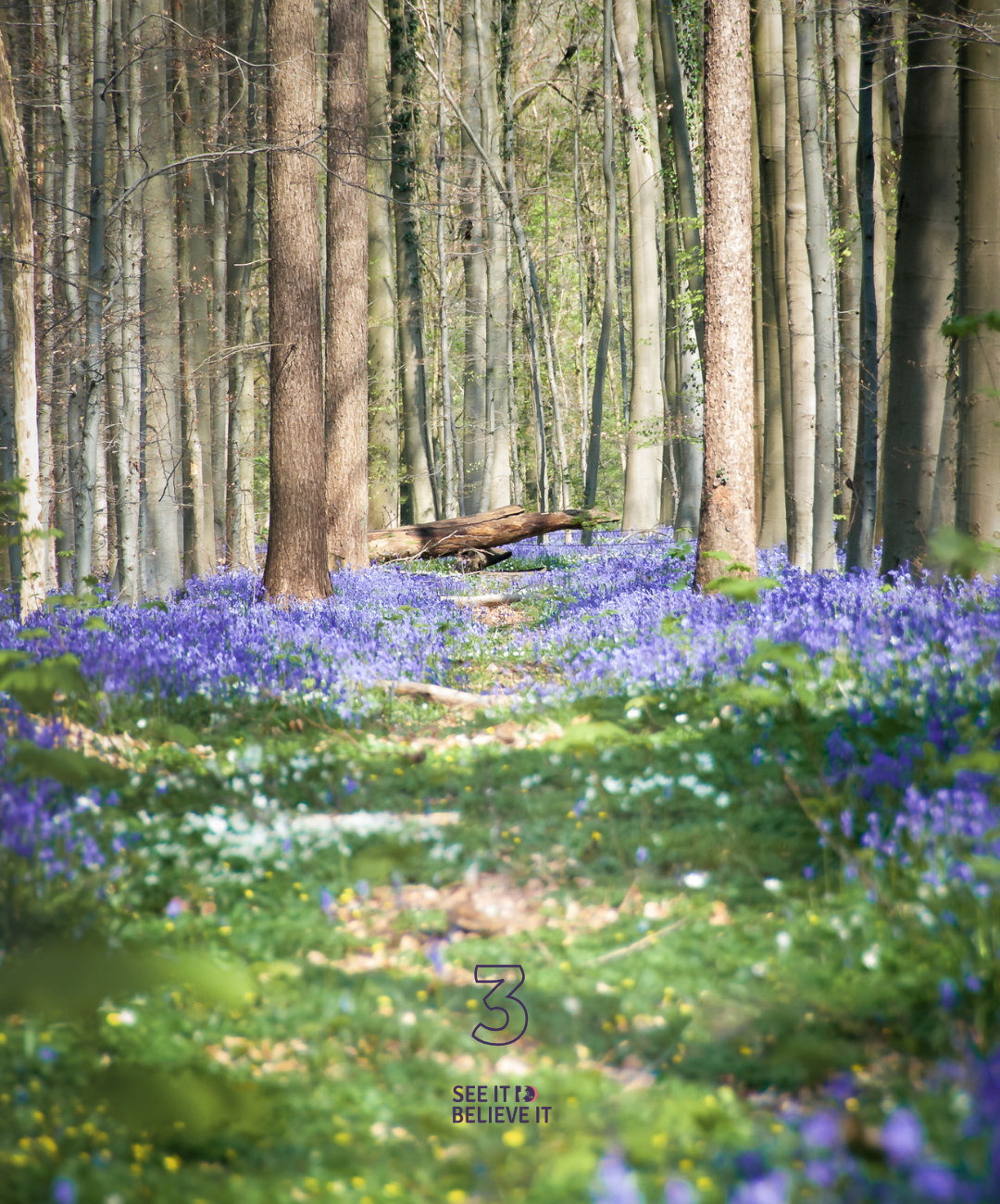 Why black (and green) Friday shouldn't be a thing!