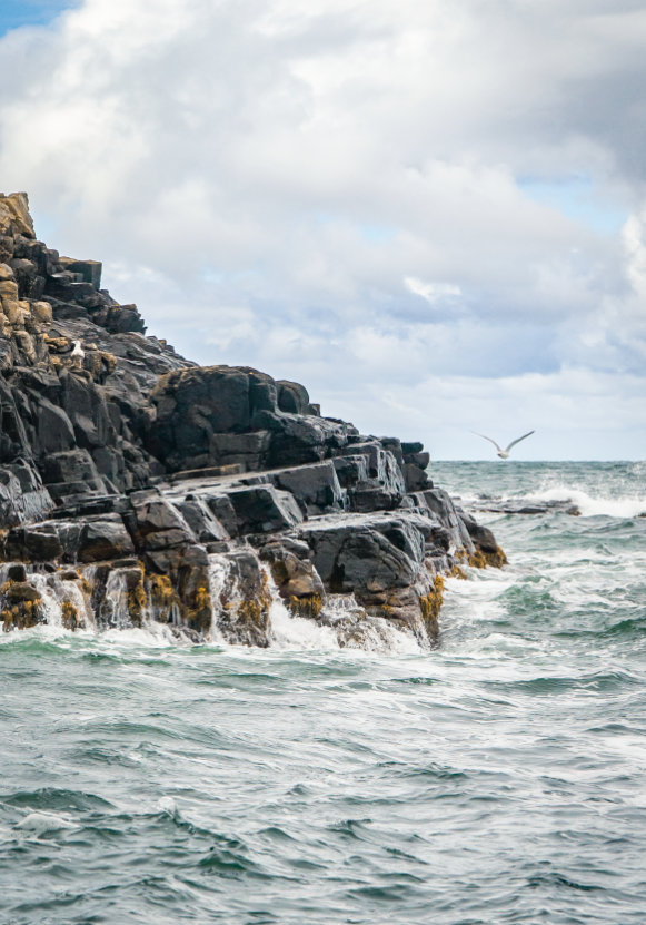 How to find beauty in awful things using a shift in perspective