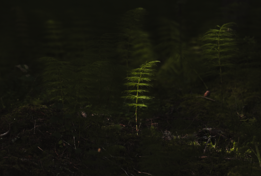You're heaps in nature, but is your mind too?